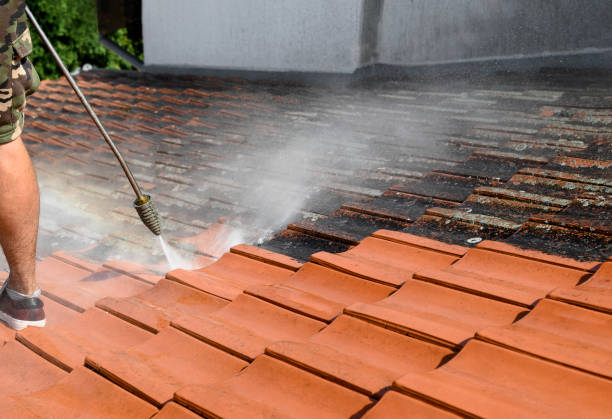 Best Exterior Home Cleaning  in Edgefield, SC